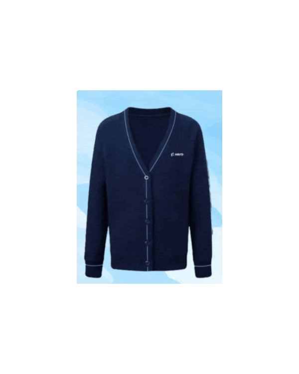 Men V-Neck Sleeveless Blue Sweater- Staging